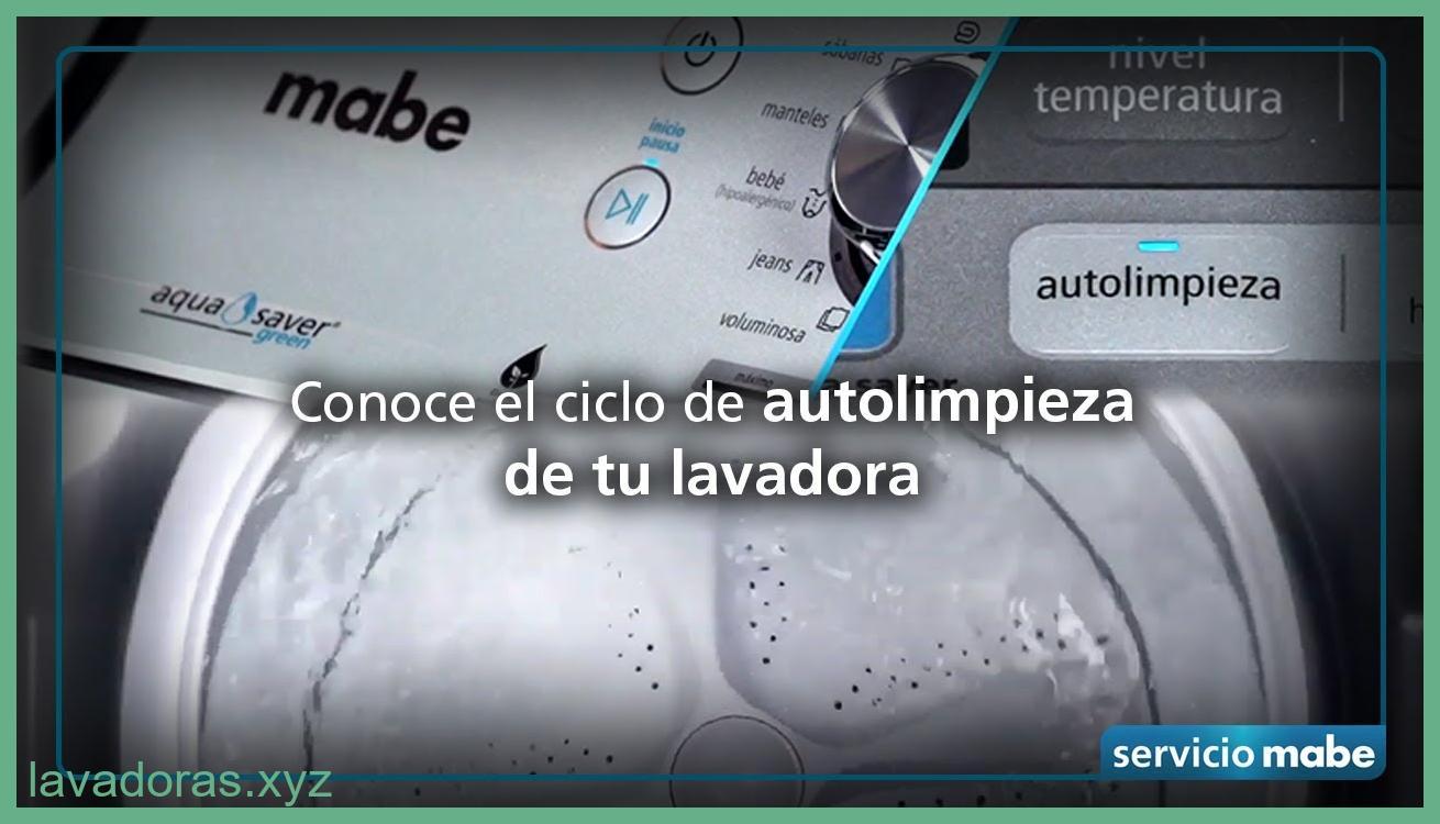 lavadora tiene función de autolimpieza